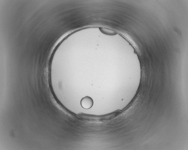 X0000115831100200912111307