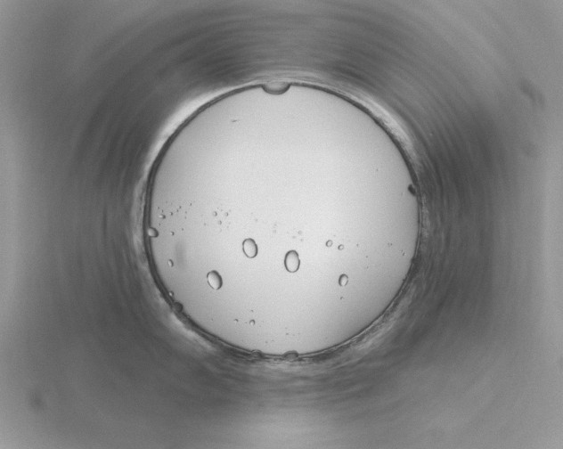 X0000115831102200912111307