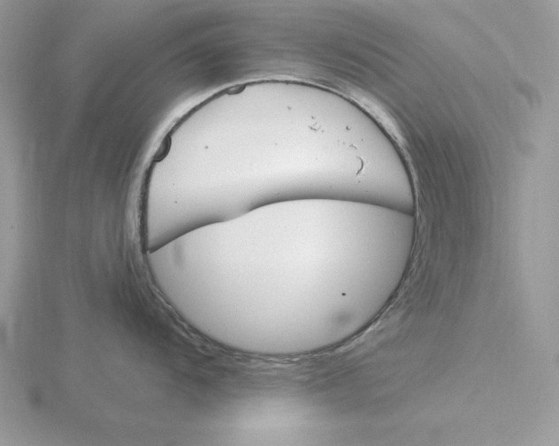 X0000115831104200912111307