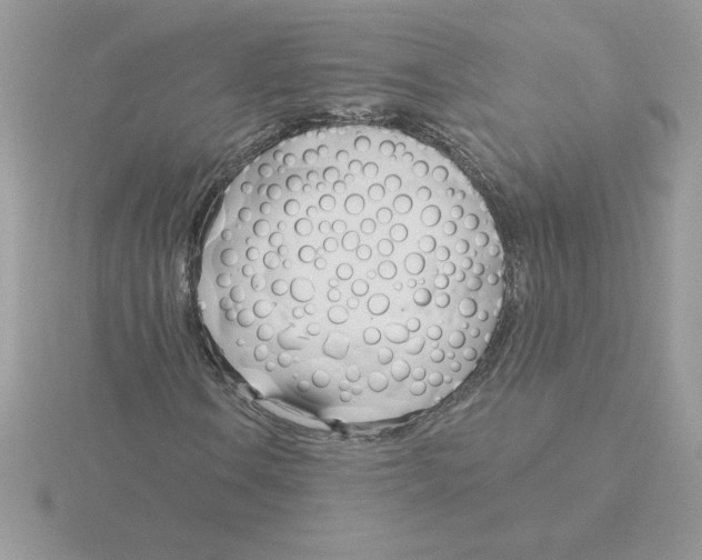 X0000115831106200912111306