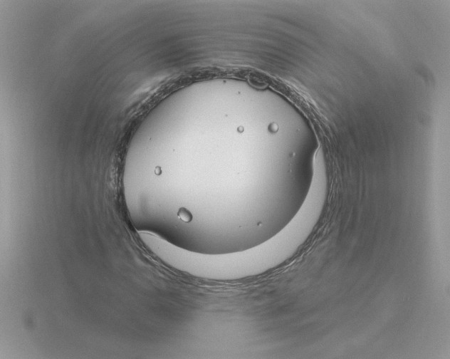 X0000115831110200912111306