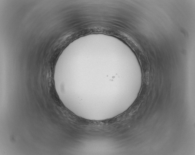 X0000115831111200912111306