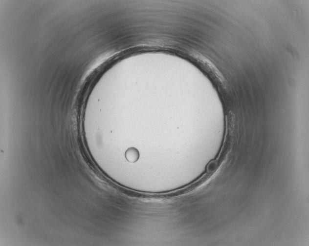 X0000115831114200912111307