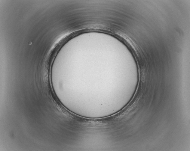 X0000115831115200912111307