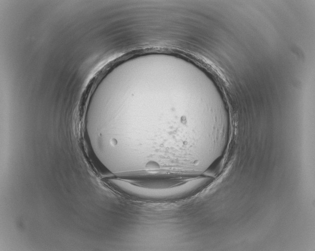 X0000115831117200912111307