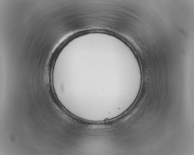 X0000115831118200912111307