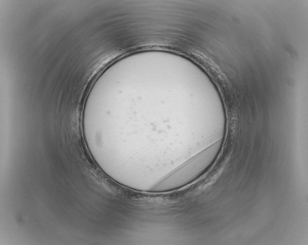 X0000115831121200912111307