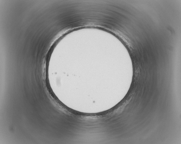 X0000115831126200912111307