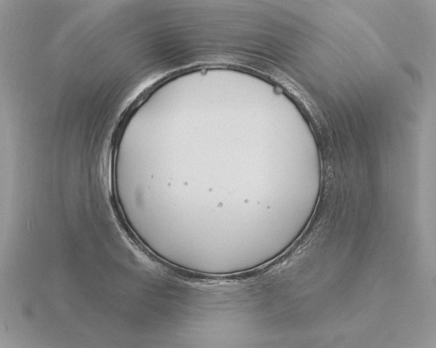 X0000115831127200912111307