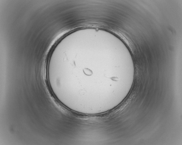 X0000115831131200912111307