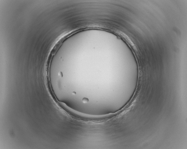 X0000115831133200912111307