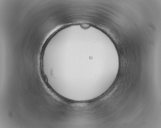 X0000115831134200912111307