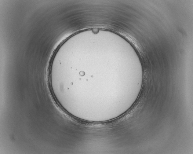 X0000115831135200912111307