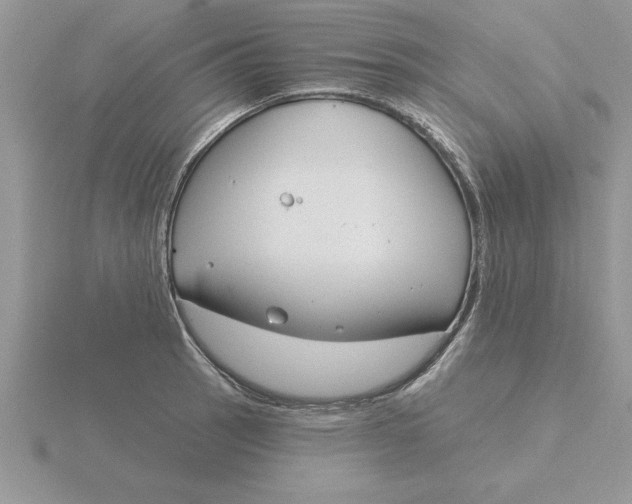 X0000115831137200912111307