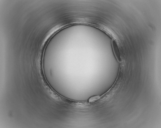 X0000115831138200912111307