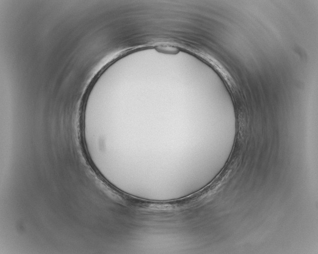 X0000115831142200912111307