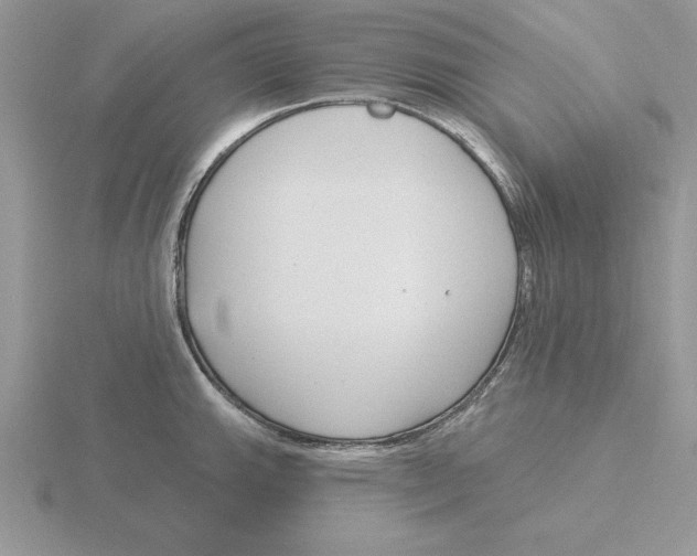 X0000115831143200912111307