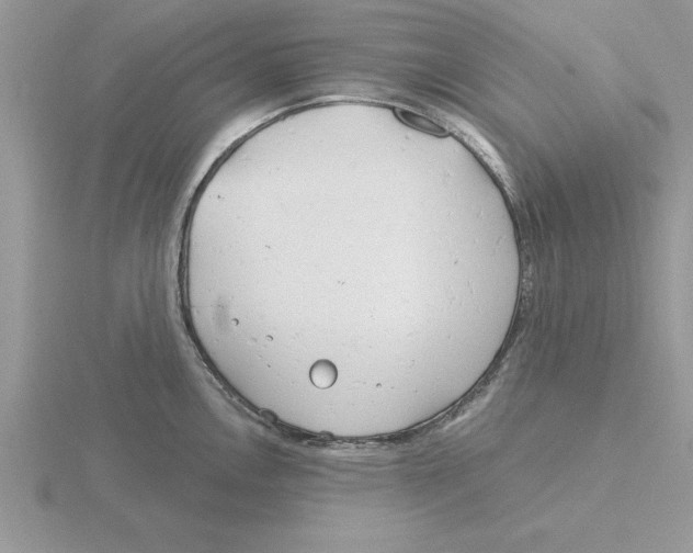 X0000115831146200912111307