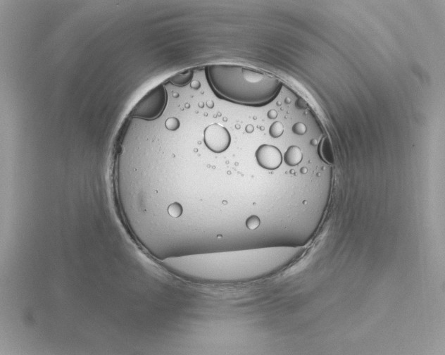 X0000115831149200912111307