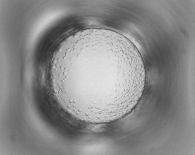 X0000115831150200912111307