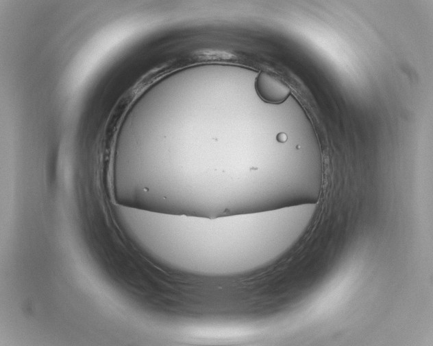 X0000115831151200912111307