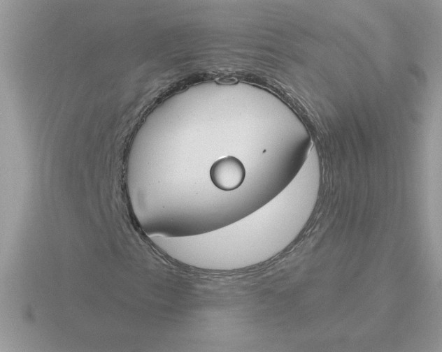 X0000115831153200912111306