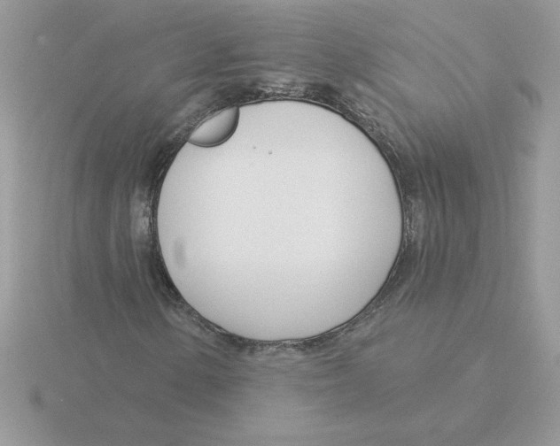 X0000115831154200912111306