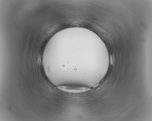 X0000115831155200912111306