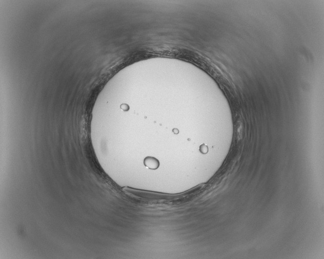 X0000115831156200912111306