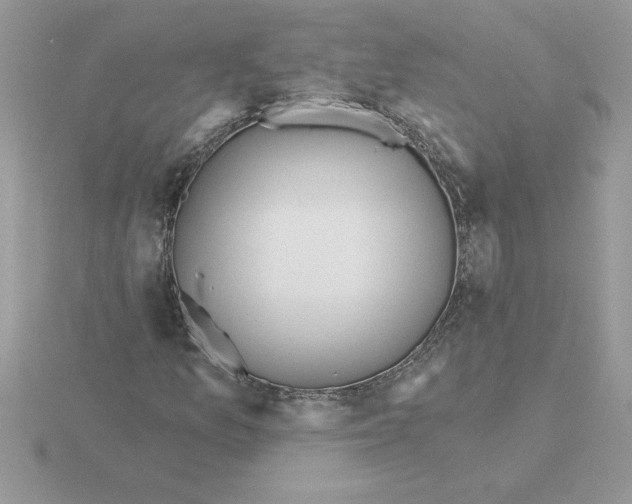 X0000115831157200912111306