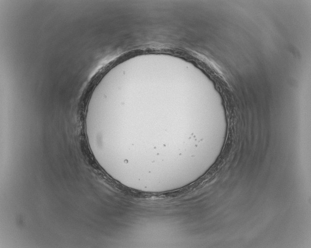 X0000115831160200912111306