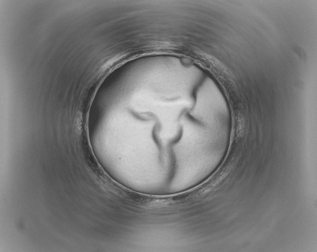 X0000115831161200912111306