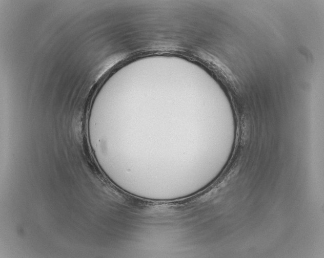 X0000115831162200912111306