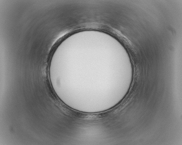 X0000115831166200912111306