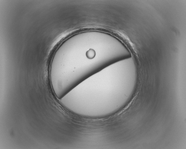 X0000115831167200912111306