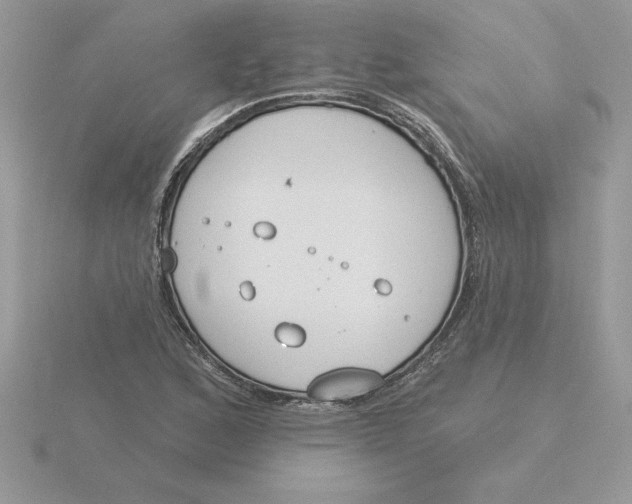 X0000115831168200912111306