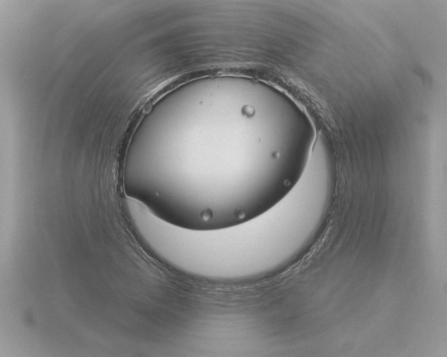 X0000115831169200912111306