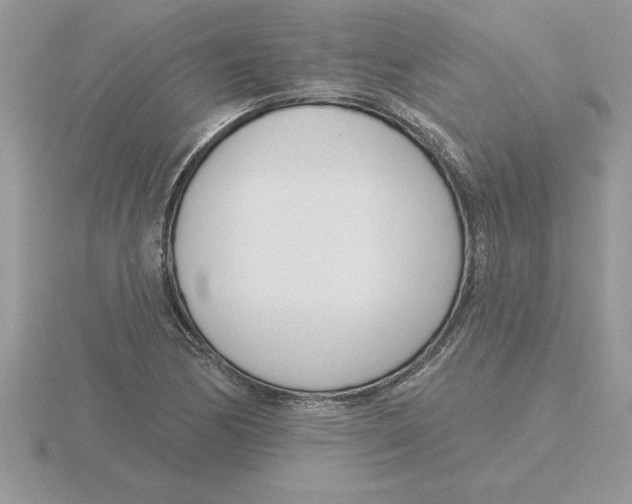 X0000115831170200912111306