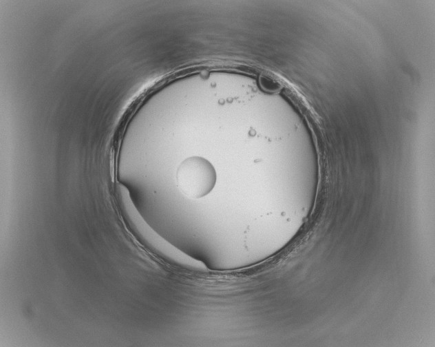 X0000115831171200912111306