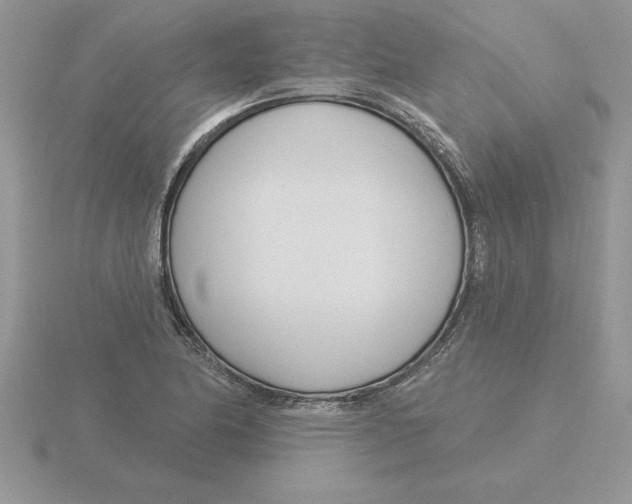 X0000115831174200912111306