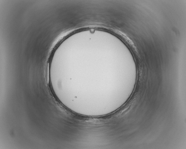 X0000115831175200912111306