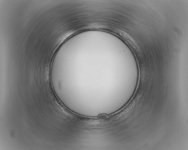 X0000115831177200912111306