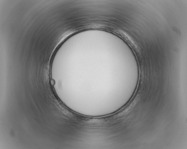 X0000115831178200912111306