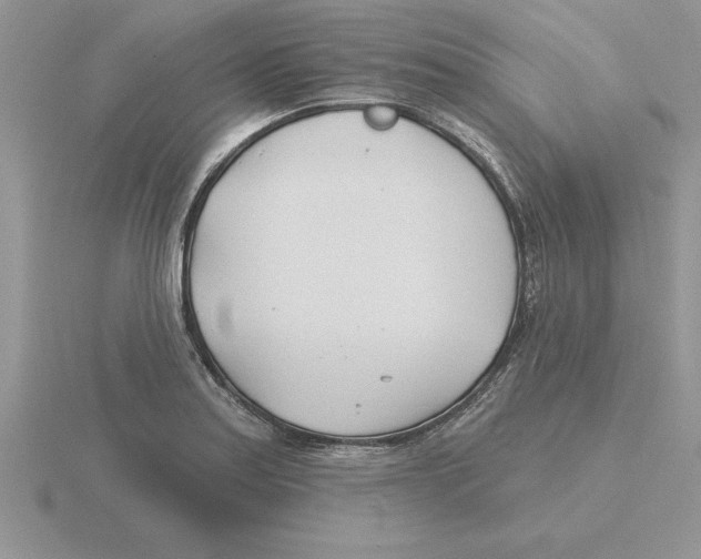 X0000115831179200912111306