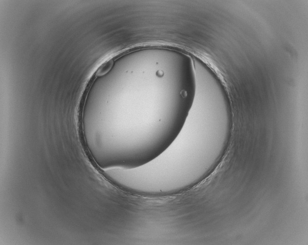 X0000115831181200912111306