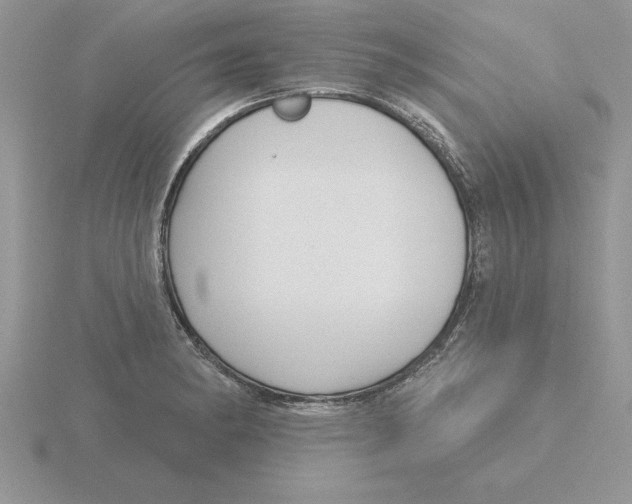 X0000115831182200912111306