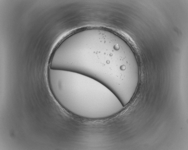 X0000115831183200912111306