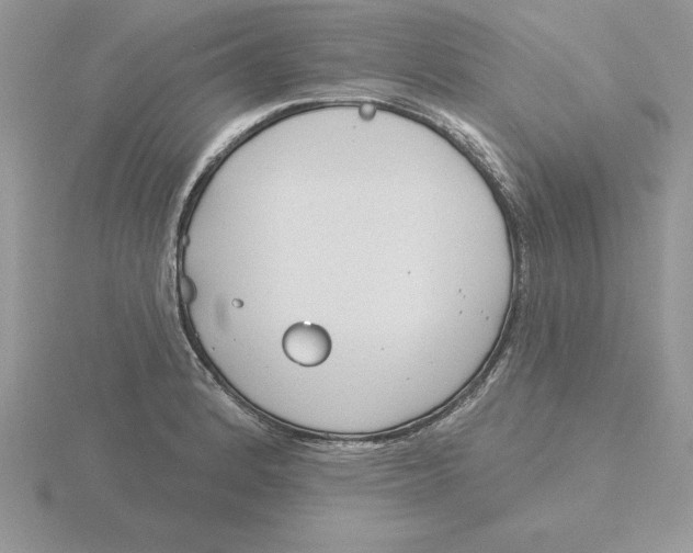 X0000115831184200912111306