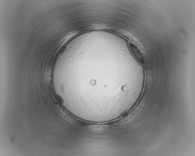 X0000115831185200912111306