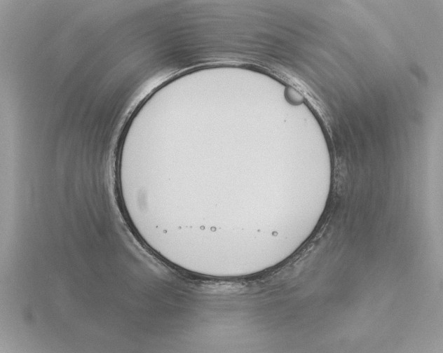 X0000115831187200912111306